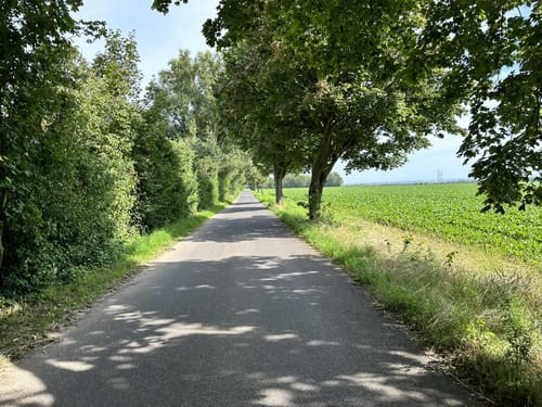 Von Butz zum Tagebau Hambach