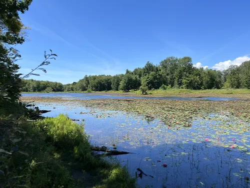 10 Best Trails And Hikes In Buffalo | AllTrails