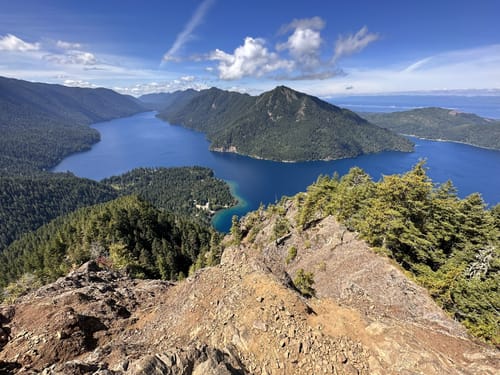 Day hikes olympic national park best sale