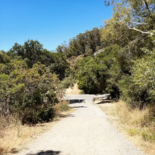 2023 Best No Dogs Trails in Richmond | AllTrails