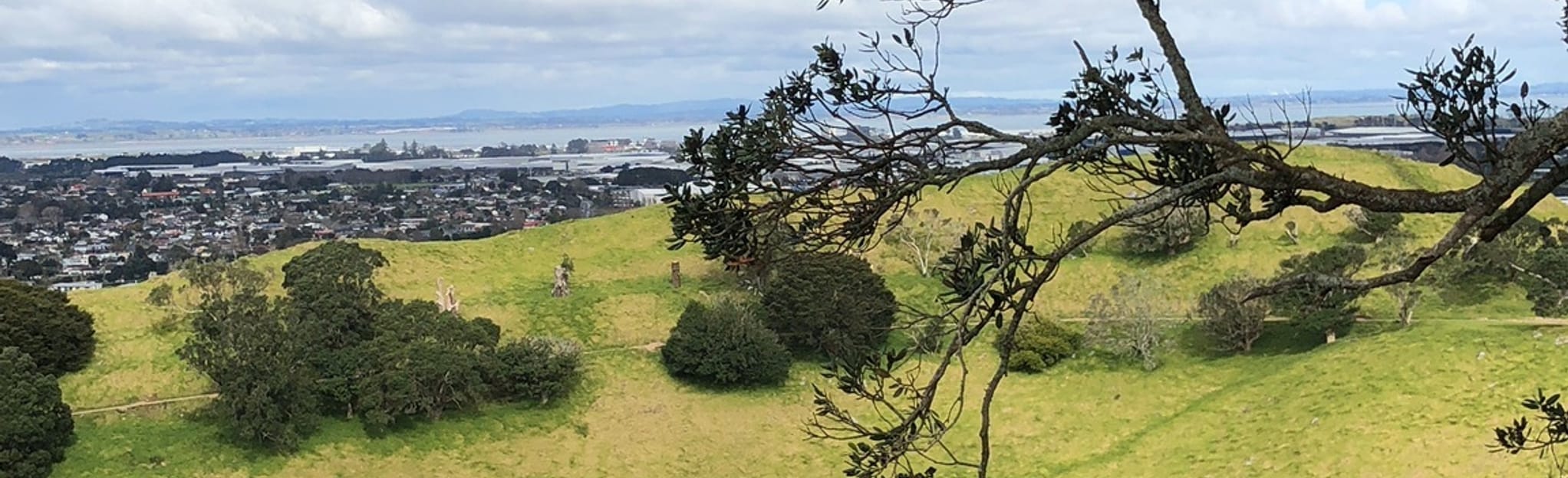 Ambury Regional Park and Mangere Mountain: 183 fotos - Auckland, Nova ...