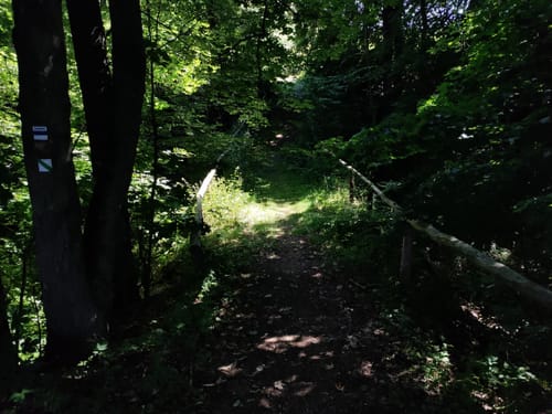 Kammweg Erzgebirge-Vogtland Etappe 2: Holzhau - Sayda