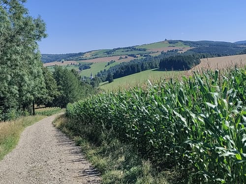 Kammweg Erzgebirge-Vogtland Etappe 2: Holzhau - Sayda