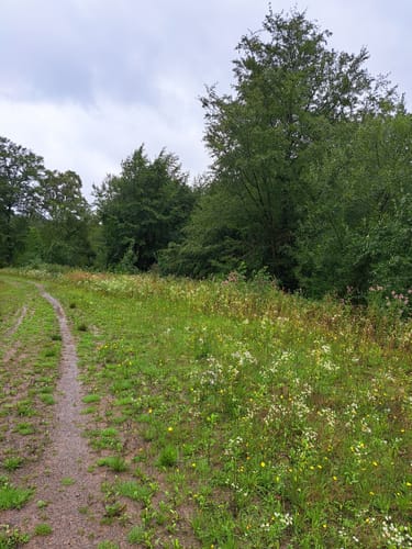 Niedersteinbach - Dörnsteinbach - Brücken