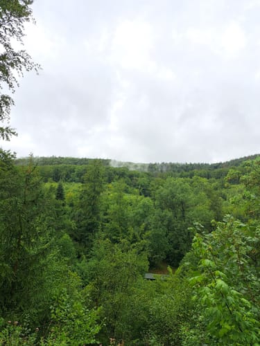 Niedersteinbach - Dörnsteinbach - Brücken
