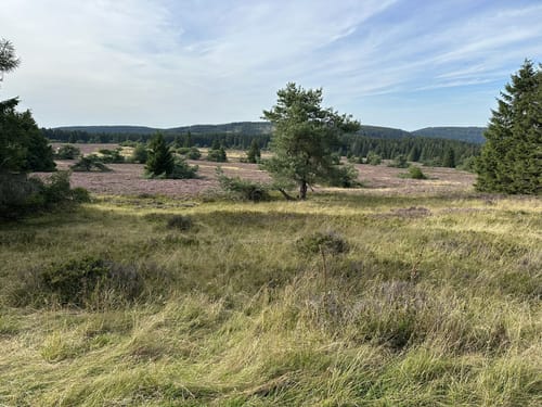 Von Willingen zum höchsten Berg Nordrhein-Westfalens