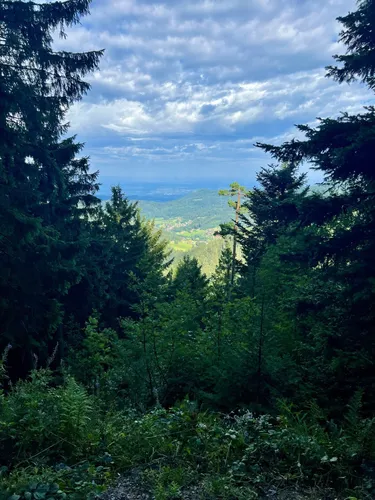 Black forest hotsell best hikes