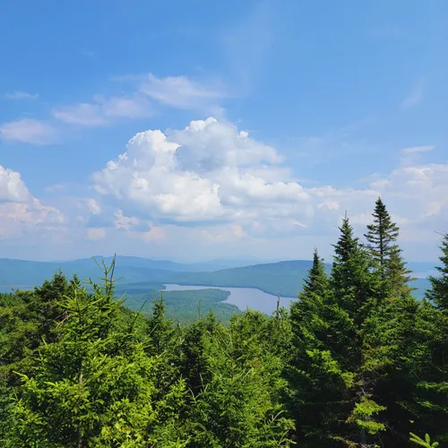 Best Moderate Trails in Eustis AllTrails