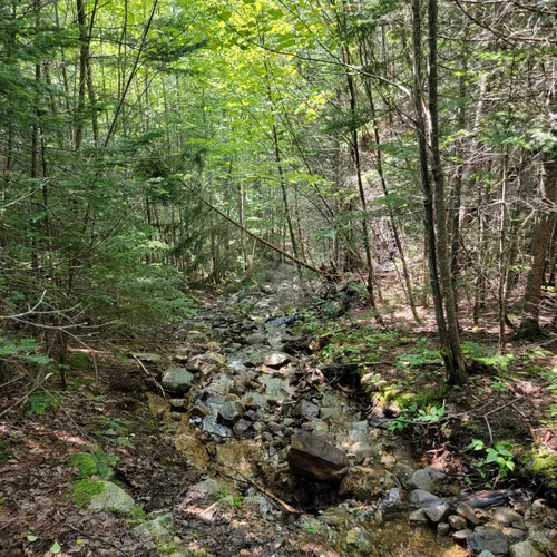 Best Moderate Trails in Eustis AllTrails