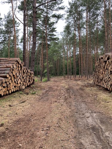 Rundwanderweg Töpchin