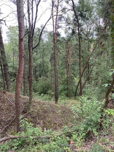 Rundwanderweg Töpchin
