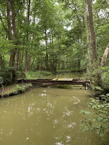 Rundwanderweg Töpchin