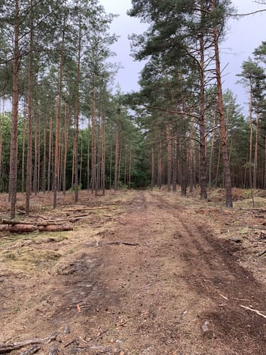 Rundwanderweg Töpchin