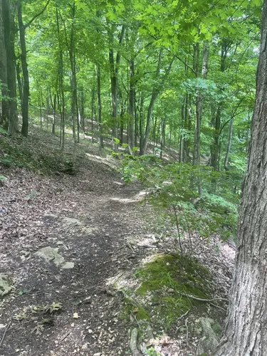 Trails in Pere Marquette's State Park, Illinois, United States 63912700 | AllTrails.com