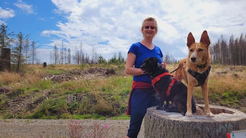 Wanderung bei Braunlage