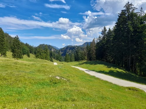 Thoraualm