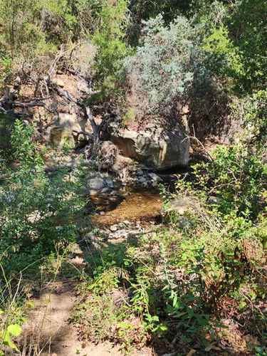 Best Hikes and Trails in San Antonio Canyon Park | AllTrails