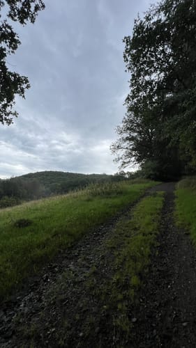 Neustädter Weg (Neustadt N3)