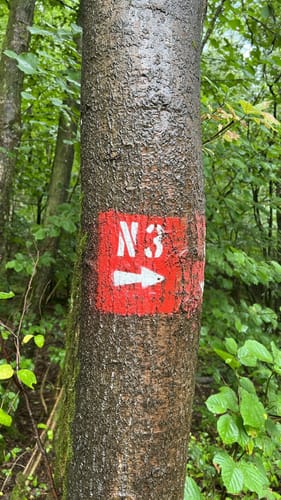 Neustädter Weg (Neustadt N3)
