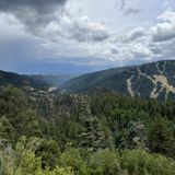 Greenie Peak OHV Loop, New Mexico - 261 Reviews, Map | AllTrails