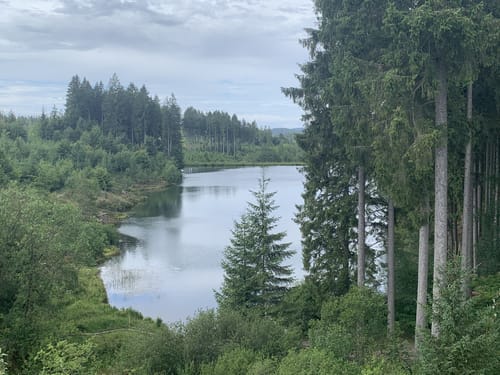 Liebesbankweg (Premiumwanderweg)
