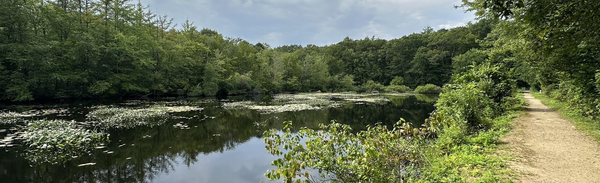 Frenchtown Park Trail, Rhode Island 250 Reviews, Map AllTrails