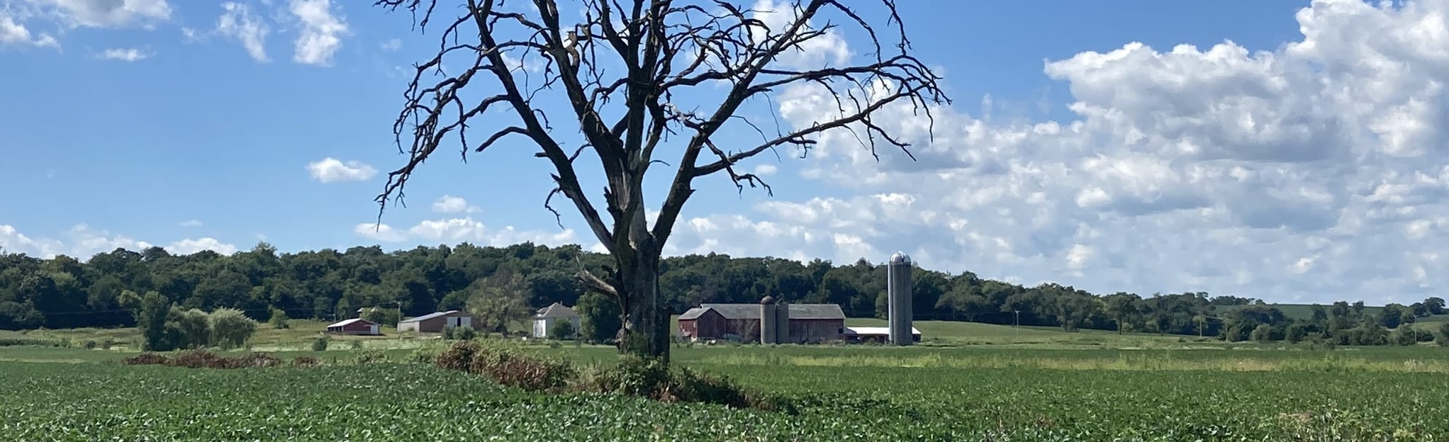 Sugar River State Trail, Wisconsin 196 Reviews, Map AllTrails