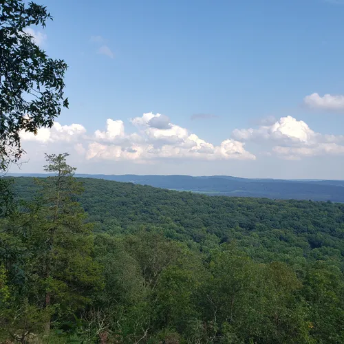 2023 Best Dog Friendly Trails in Frelinghuysen Township AllTrails