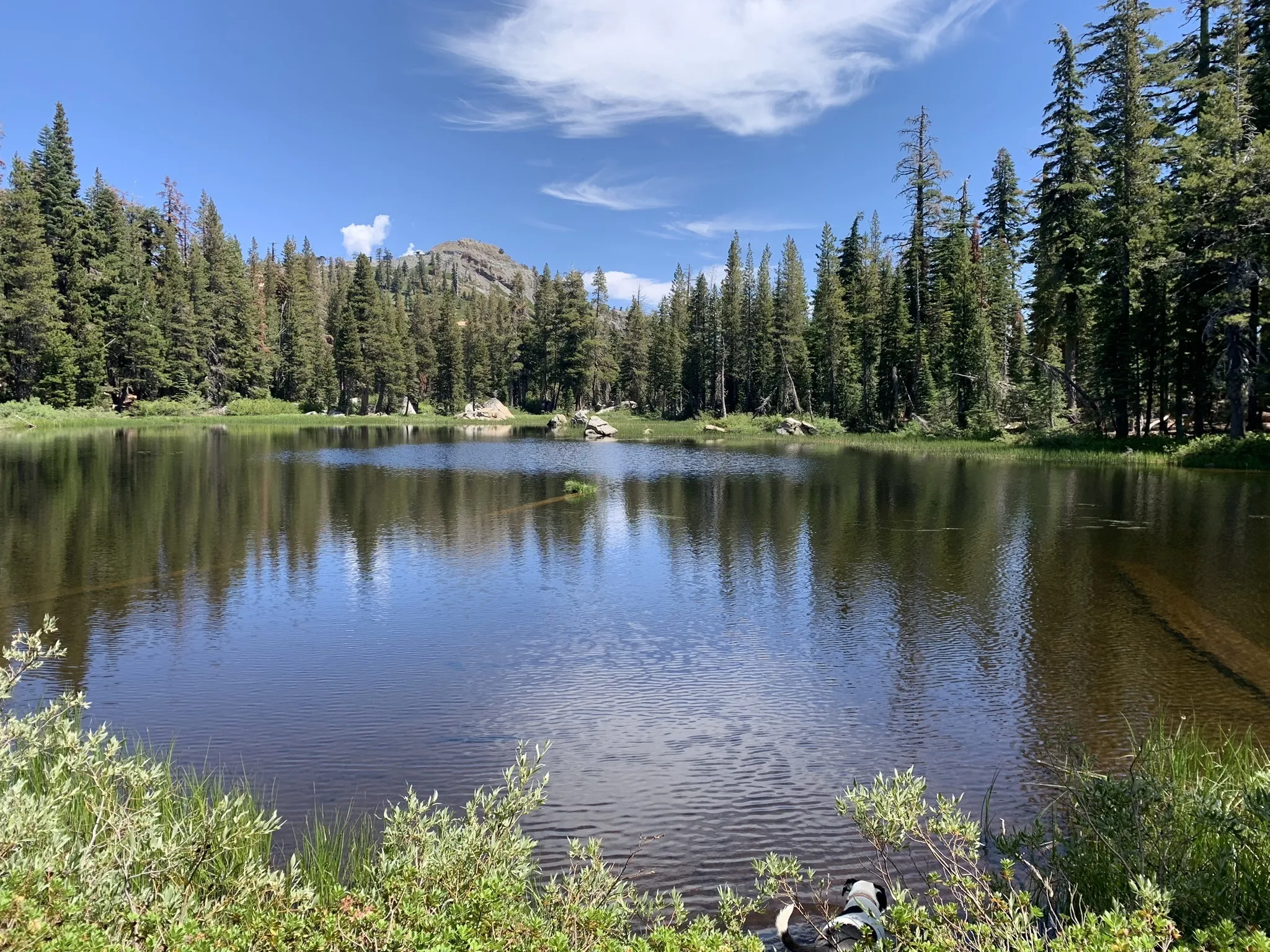 Photo of a trail from Whitney Polk with title Five Lakes Trail