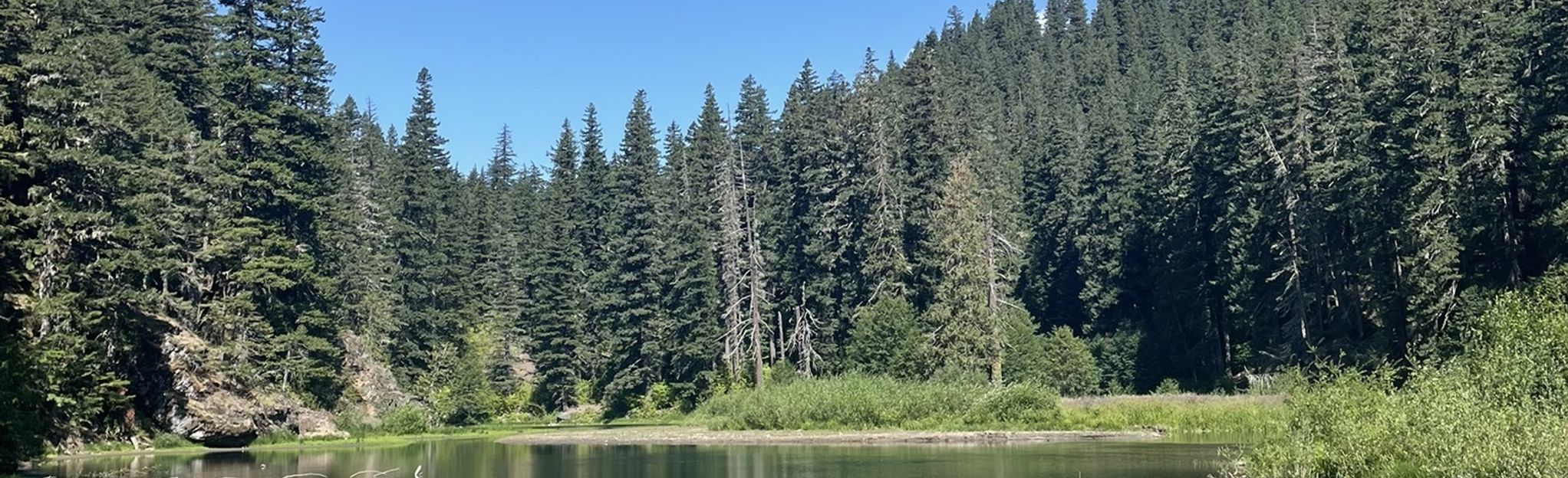 Greenwater Lakes Trail, Washington - 977 Reviews, Map | AllTrails