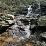 Big Rock Nature Trail , Georgia - 350 Reviews, Map | AllTrails