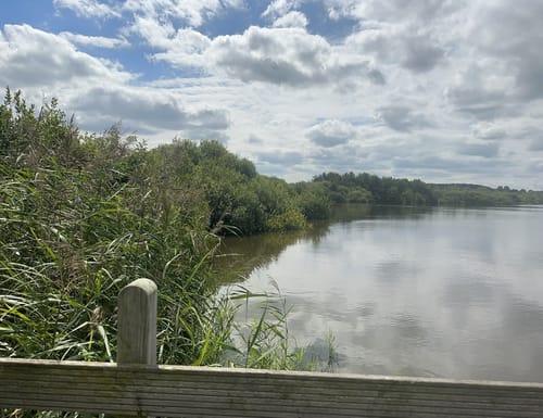 Seerundweg Bederkesaer See