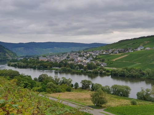 2. Trittenheimer Weinlagenlauf 2017