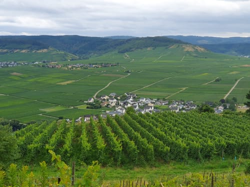 2. Trittenheimer Weinlagenlauf 2017