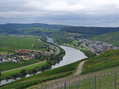 2. Trittenheimer Weinlagenlauf 2017