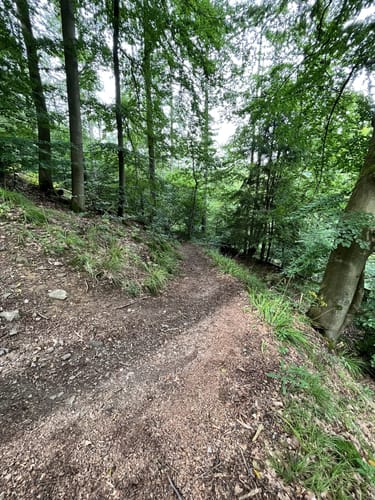 Zum Großen Knollen