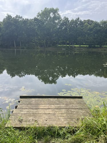 Um den Rensinger See mit Kleiner Tonkuhle