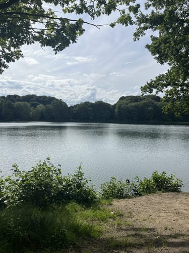 Um den Rensinger See mit Kleiner Tonkuhle