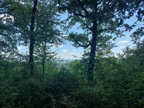 Traumrunde Schwanberg
