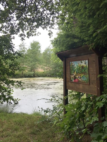 Rundwanderweg Münchenbernsdorf