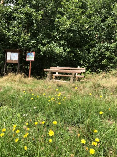 Rundwanderweg Münchenbernsdorf