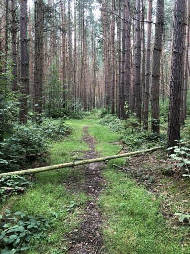 Rundwanderweg Münchenbernsdorf