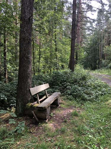 Rundwanderweg Münchenbernsdorf