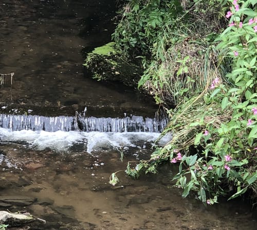 Rundwanderweg Münchenbernsdorf