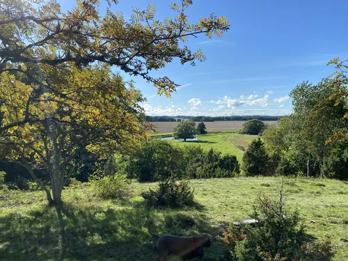 Best Hikes and Trails in Fullerö backar naturreservat | AllTrails