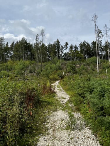 östlicher Teutoberger Wald (LP Bielefeld-Ost) kleine Runde