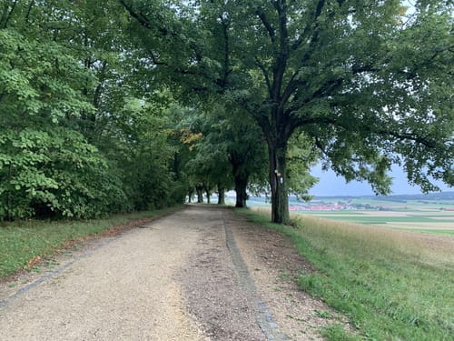 Marienhöhe und Nördling Altstadt