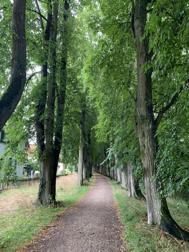 Marienhöhe und Nördling Altstadt