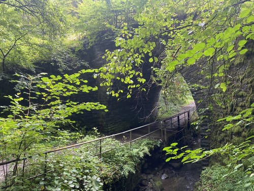 Zur Erpeler Ley: Rheinpanoramen und romantische Bachtäler