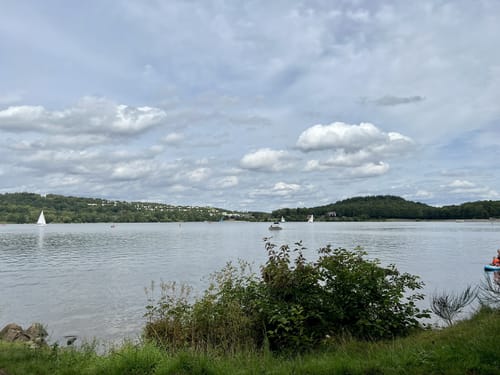 Bostalsee Rundwanderweg